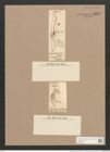 Toxonidea gregoriana Donkin (de-Toni-Nr.: Genus 16, Species 1139) Zeichnungen Sammlung Grunow Nr. 2237 (NHMW-BOT-W0369332)